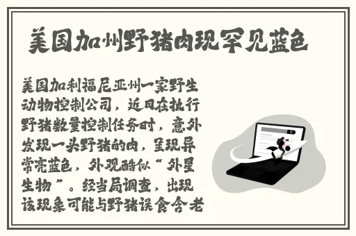 榴莲视频apk